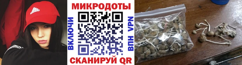 гидра как войти  Морозовск  Галлюциногенные грибы Psilocybe  закладки 